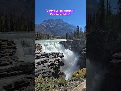 Waterfall Road Trip in Banff and Jasper National Park #asmr #waterfall #travel #Canada #Banff #park