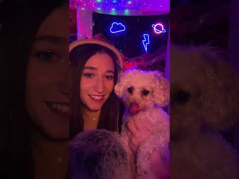 malooshie smoochie bear  #relax #asmr  #tingles