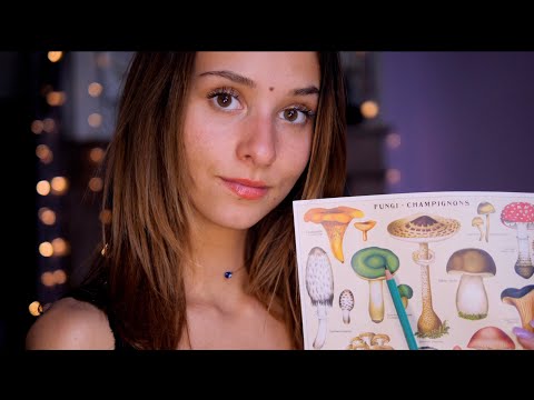 ASMR - visuels doux pour bien dormir (tracing)