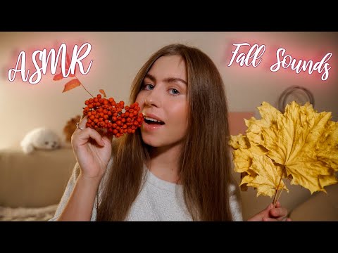 [ASMR] 🍁 Fall / Autumn Triggers 🍁 + Fabric Scratching, Mukbang, Whisper