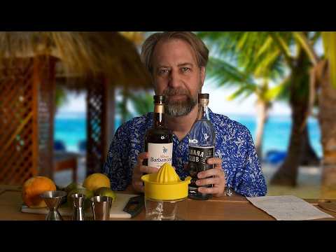 ASMR Tropical Drinks at the Beach - Bartender Roleplay
