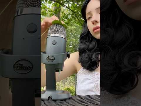 Who knew a leaf could make great ASMR ? #asmrtriggers #asmrsounds