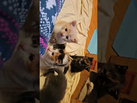 Jaydyn and siblings back in May ♡♡