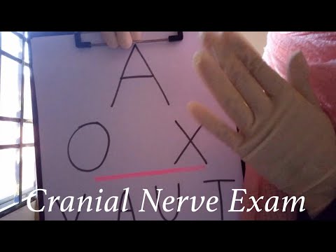 ASMR | Cranial Nerve Exam (Layered sound)