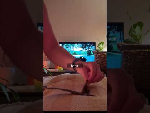Feather dusting your chakras #relax #asmrreiki #energycleanse #oddlysatisfying