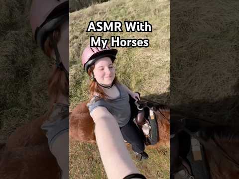 ASMR getting my horses ready for a ride 🐴💗 #asmr #asmrvideo #asmrshorts #horse #horseriding
