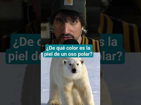 ESTO ME SORPRENDIÓ 🤯