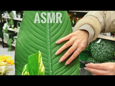 ASMR 🍀 30 Green Triggers in the Mall | Public Satisfying Scratching 🌿 ✅ 