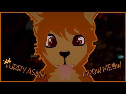 Wild Orange Cat Examines you || VR FURRY ASMR 🧡🐱