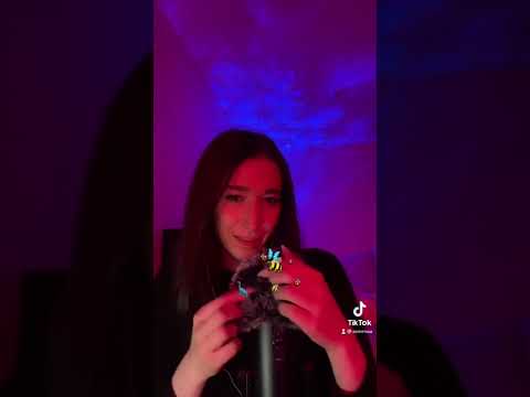 ASMR bug search!