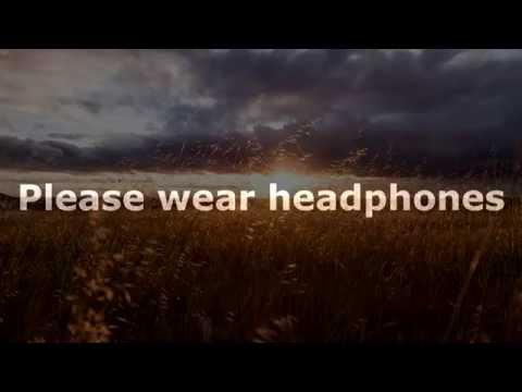 (3D binaural recording) Crickets - Wind - Walking