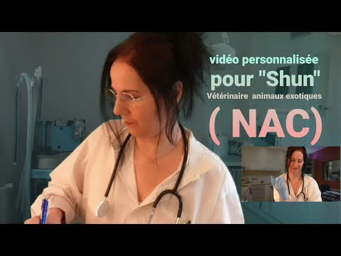 Asmr français vidéo personnalisée pour " Shun " vétérinaire (NAC)animaux exotiques