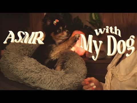 ASMR // Meet My Little Dog! 🐶🐾