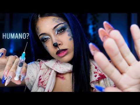 ASMR veterinaria atiende humano por primera vez halloween roleplay