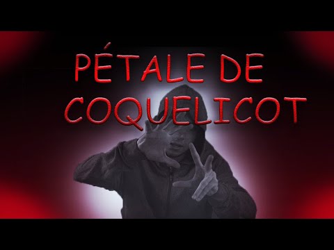 ASMR français : Pétale de Coquelicot ! 100 % INAUDIBLE DÉCLENCHEUR  🧨