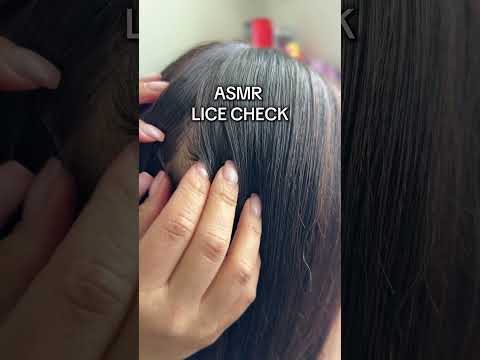 ASMR checking your hair for lice- nit picking, popping sounds and searching- #asmr #asmrlicecheck