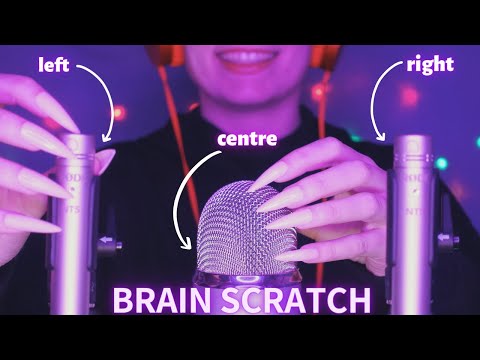 Asmr Mic Scratching - Brain Scratching | Hypnotic Asmr No Talking for Sleep with Long Nails