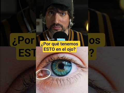 ¿Por qué tenemos ESTO?
