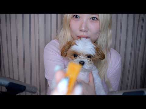 ASMR 특별개스트🐶 고구마 말랭이 이팅사운드