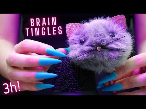 Asmr Intense Mic Brushing,Scratching & Stroking | Asmr No Talking for Sleep - Long Nails | 3 Hours