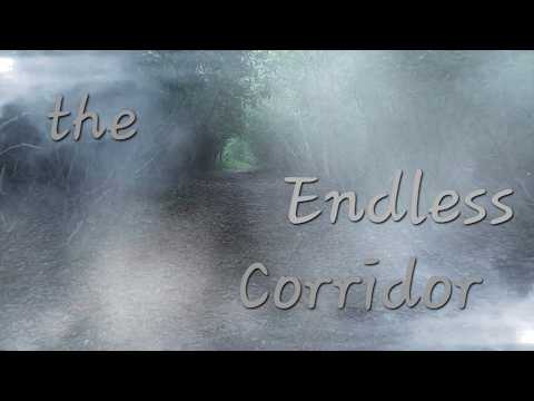The Endless Corridor (ASMRRP)(sleepy, peaceful)