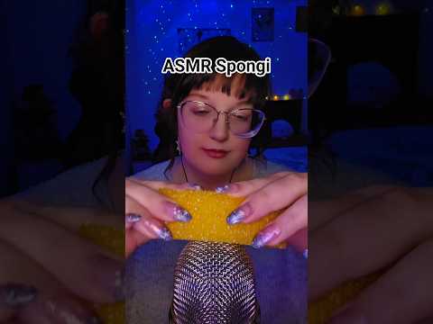 ASMR Spogi 🧽 #asmrsponge #asmrtingles #asmrsounds #asmrvideo