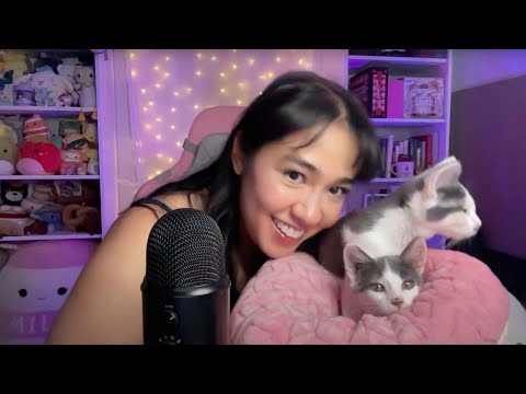 COMEMORANDO 500K (ASMR NO FINAL)