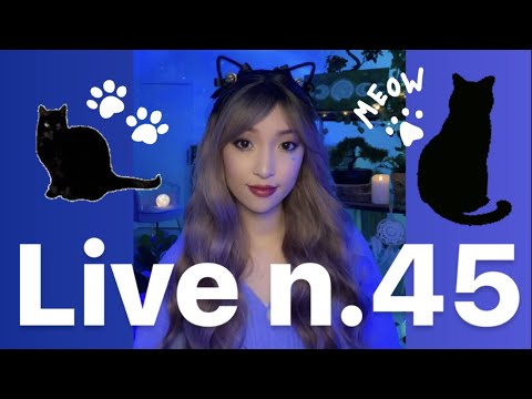 🔵 Live n°45 🐈‍⬛ Pogo le chat nous rend visite ronronnements & gratouilles, triggers habituels...