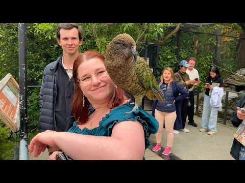 ASMR | A Quiet Trip to Queenstown, New Zealand (binaural whispered nature)