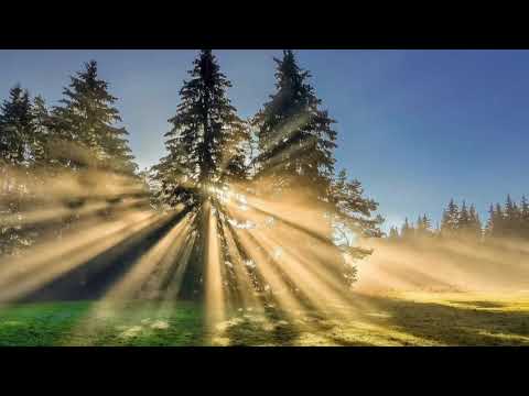 sizga maqtov aytaman past ovozda