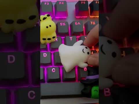 asmr mochi races ! 🪄 full video up now