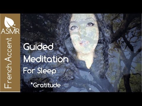 GRATITUDE ASMR guided meditation vizualisation to achieve your dreams [meditation]