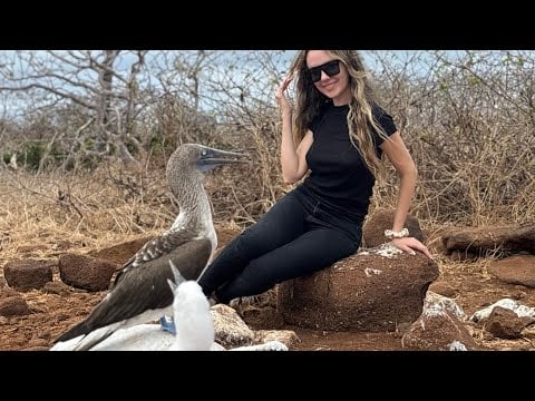 Hotel La Laguna in Isabela Island Galápagos Ecuador 🇪🇨Room, Amenities and Breakfast 🍳 