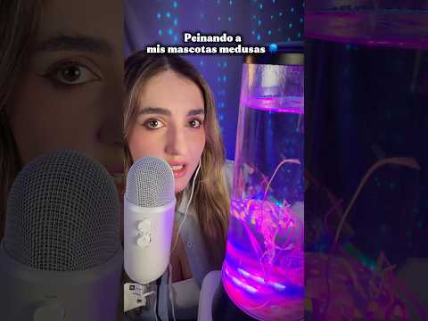Mis mascotas medusas 🪼 #asmr #medusas