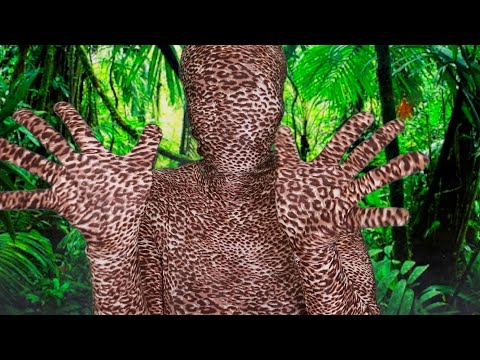 ASMR JUNGLE HANDMOVEMENTS