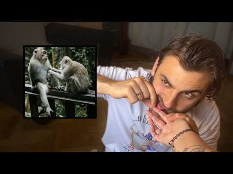 ASMR Grooming you like a monkey 🐒