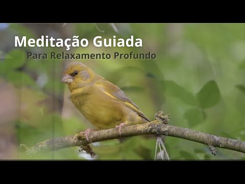 ASMR Meditação Guiada para Relaxamento Profundo 🌷☁ (Sons da Natureza, Com música calma)