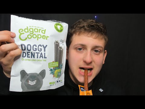 ASMR eating DOGFOOD