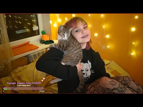 Такое чувство что это АСМР Стрим...ASMR STREAM