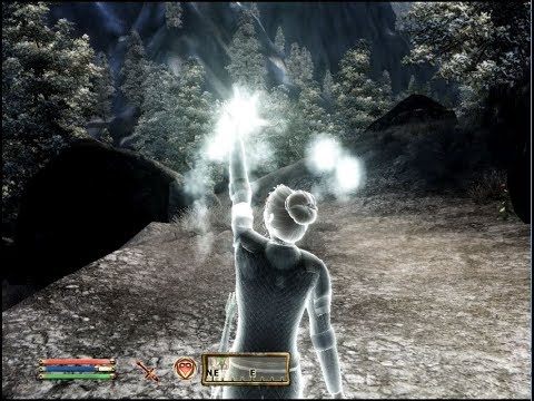 ASMR: TES IV Oblivion-Turning a Blind Eye