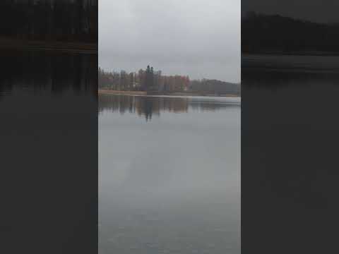 ASMR Misty Autumn Landscape #relax #asmr #nature
