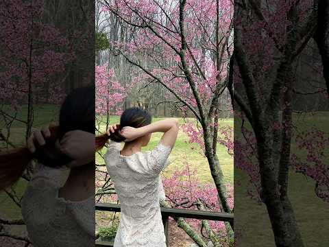 Cherry Blossom Minecraft Juna 🌸💘💝 #juna #washingtondc #minecraft  #spring #travel