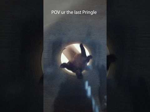 ASMR pov ur the last Pringle.  #asmr #asmrsounds #funnyasmr