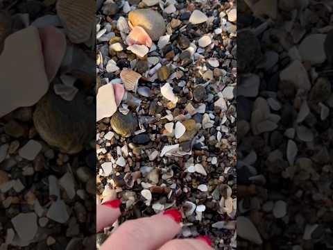 Asmr by the ocean #asmr #relax #lofi