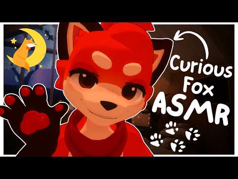 [Furry ASMR] Curious Fox finds and comforts YOU at home :3 [Sleep-aid] [Soft-spoken] [Visual-aid]