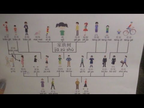 【ASMR-Shroom】The Complicated Chinese Family Tree 英文介紹中文家族稱謂