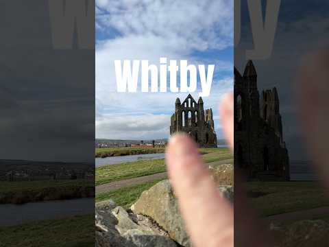 Getting around Whitby with a dog pram