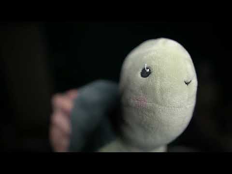 ASMR With Sammy The Kissing Turtle