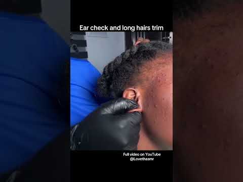 Ear Check and long ear hairs trim