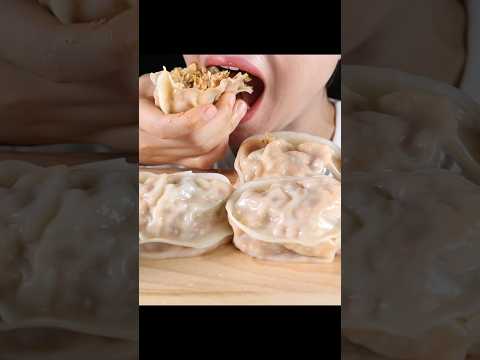 Big Bite Kimchi Dumplings 47 Seconds